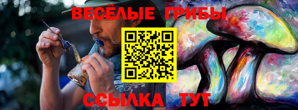 Галлюциногенные грибы Cubensis  Вход с VPN  наркота  Красногорск 
