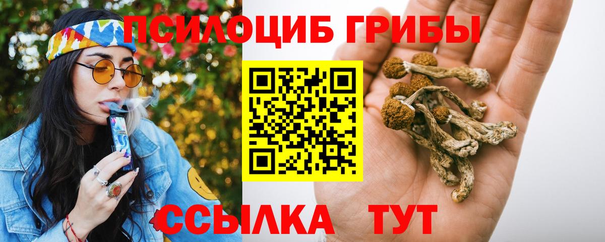 Псилоцибиновые грибы MAGIC MUSHROOMS Красногорск